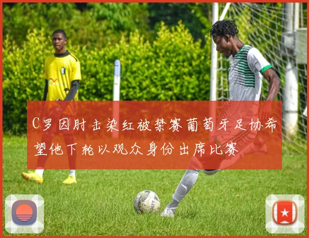 C罗因肘击染红被禁赛葡萄牙足协希望他下轮以观众身份出席比赛